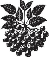 almez fruta, negro color silueta vector