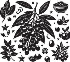 jambolan fruta, negro color silueta vector