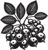 almez fruta, negro color silueta vector