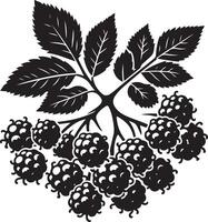 almez fruta, negro color silueta vector