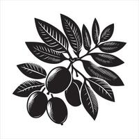 indio ciruela pasa fruta, negro color silueta vector