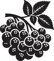 almez fruta, negro color silueta vector