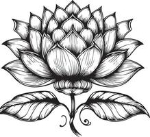 outline of a lily for a coloring book vector