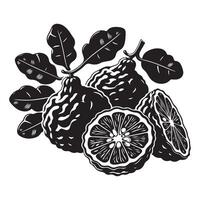 kaffir Lima fruta, negro color silueta vector