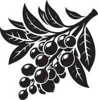 jambolan fruta, negro color silueta vector