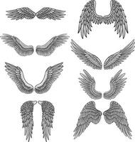 colección de ocho pares de alas vector
