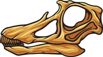 Apatosaurus dinosaur skull fossil illustration vector
