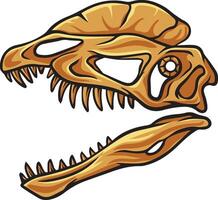 Dilophosaurus dinosaur skull fossil illustration vector