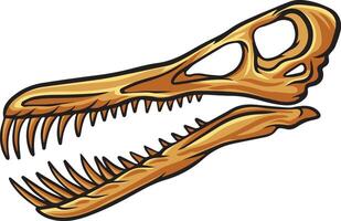 Pterosaur dinosaur skull fossil illustration vector