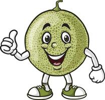 Cartoon melon character giving a thumbs up vector