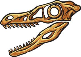 Velociraptor dinosaur skull fossil illustration vector