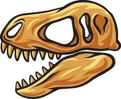 Tyrannosaurus dinosaur skull fossil illustration vector