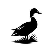 Silhouette of wild and domestic duck vector
