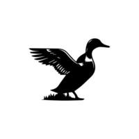 Silhouette of wild and domestic duck vector