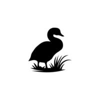 Silhouette of wild and domestic duck vector