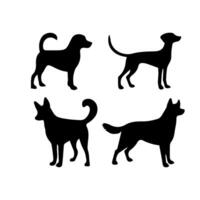 silhouette of dog on white background vector
