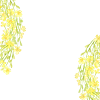 giallo fiori, piccolo fiori selvatici, angolo telaio acquerello illustrazione. estate prato con floreale Stampa e fiori selvatici. isolato a partire dal il sfondo. per design di carte, inviti, matrimoni png