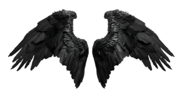 realistisch Stil schwarz Engel Flügel Nein Hintergrund perfekt zum drucken auf Nachfrage T-Shirt Design anwendbar zu irgendein Kontext png