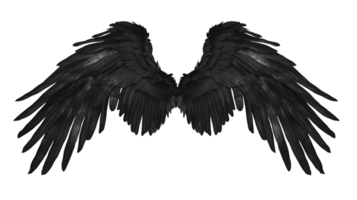 Realistic Style Black Angel Wings No Background Perfect for Print on Demand T-Shirt Design Applicable to Any Context png