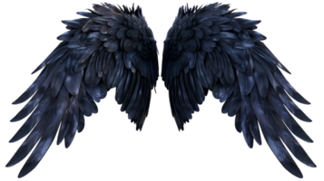 Realistic Style Black Angel Wings No Background Perfect for Print on Demand T-Shirt Design Applicable to Any Context png