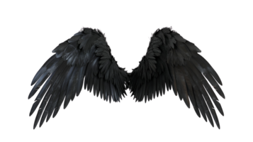 Realistic Style Black Angel Wings No Background Perfect for Print on Demand T-Shirt Design Applicable to Any Context png