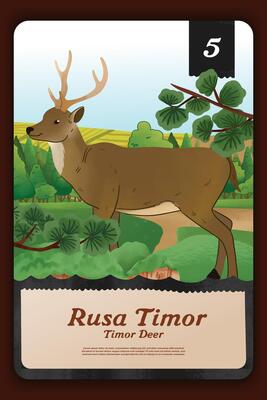 Custom game card with indonesian Deer endemic animals illustration