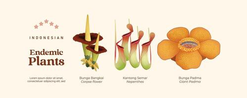 aislado indonesio endémico plantas ilustración célula sombreado estilo vector