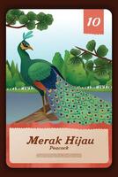 Custom game card with indonesian Peacock endemic animals illustration vector