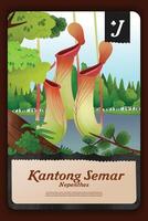 Custom game card with indonesian Nepenthes endemic plants illustration vector