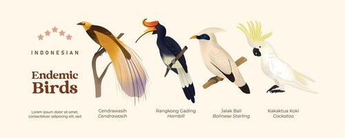 Isolated Indonesian endemic birds illustration cell shaded style vector