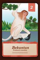 Custom game card with indonesian Monkey endemic animals illustration vector