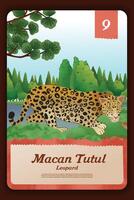 Custom game card with indonesian Leopard endemic animals illustration vector