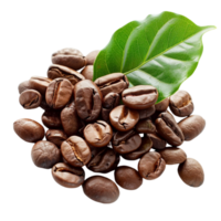 Kaffee Bohnen mit Grün Blatt png