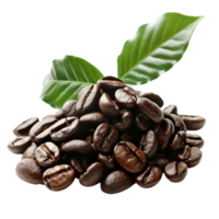 Kaffee Bohnen mit Grün Blätter Bild png