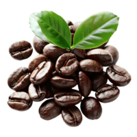 The coffee beans with green leaves png