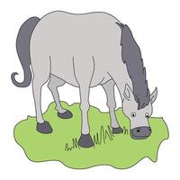 A horse eating grass in the ground vector