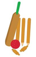 Cricket bat with stumps and ball vector