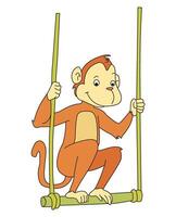 A cute monkey swinging on swing vector