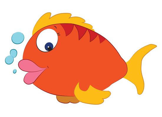 Fish isolated on white background
