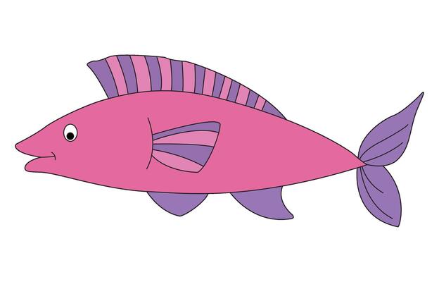 Fish isolated on white background