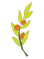 Olive branch and leaves vector
