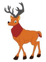 Deer isolated on white background vector