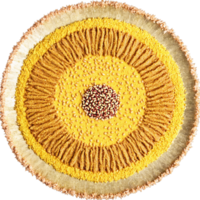 Satay seasoning mandala a nutty circular pattern of satay seasoning with peanuts and turmeric powder png