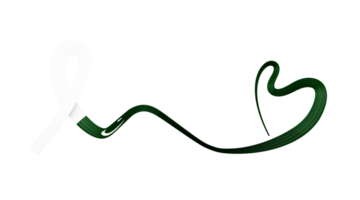 Pakistani flag heart shaped wavy ribbon. 3d illustration. png