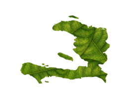 Haïti carte fabriqué de vert feuilles écologie concept png