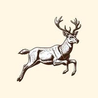 Reindeer Running Illustration Hand Drawn Engraved Style Deer vector