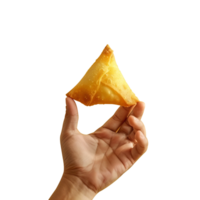 Holding fried samosa in hand isolated on transparent background png