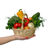 A hand holding basket of vegetables isolated on transparent background, Ai png