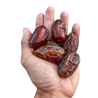 A hand holding dates isolated on transparent background, Ai png