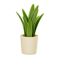 Vibrant Greenery of a Potted Snake Plant for Home Decor. 3D Render png